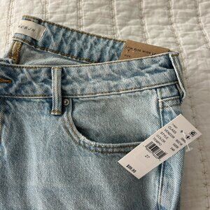 BRAND NEW Pacsun Low Rise Ripped Jeans